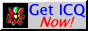 ICQ